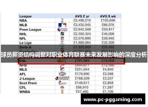 球员薪资结构调整对职业体育联赛未来发展影响的深度分析