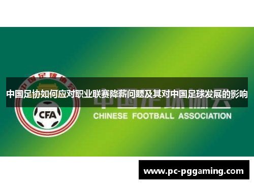 中国足协如何应对职业联赛降薪问题及其对中国足球发展的影响