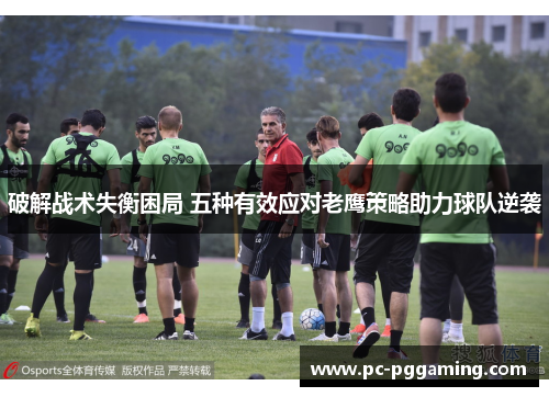 破解战术失衡困局 五种有效应对老鹰策略助力球队逆袭
