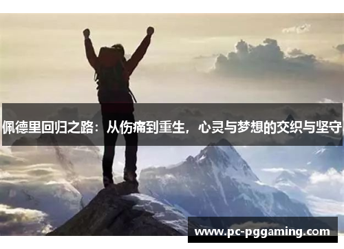 佩德里回归之路：从伤痛到重生，心灵与梦想的交织与坚守