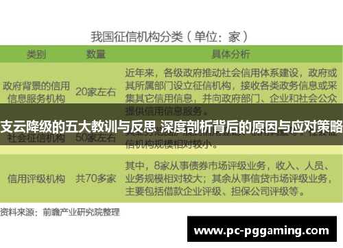 支云降级的五大教训与反思 深度剖析背后的原因与应对策略