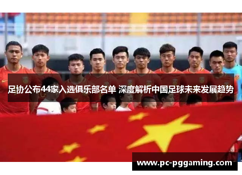足协公布44家入选俱乐部名单 深度解析中国足球未来发展趋势