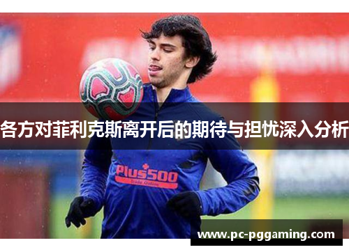 各方对菲利克斯离开后的期待与担忧深入分析
