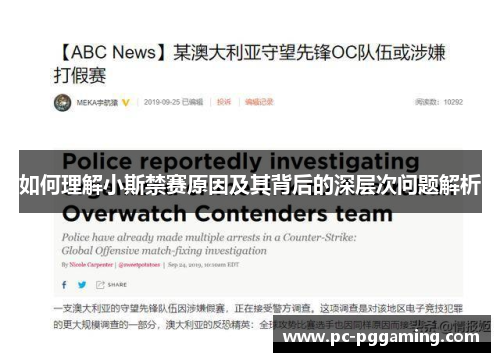 如何理解小斯禁赛原因及其背后的深层次问题解析