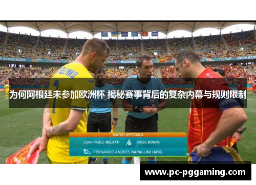 为何阿根廷未参加欧洲杯 揭秘赛事背后的复杂内幕与规则限制
