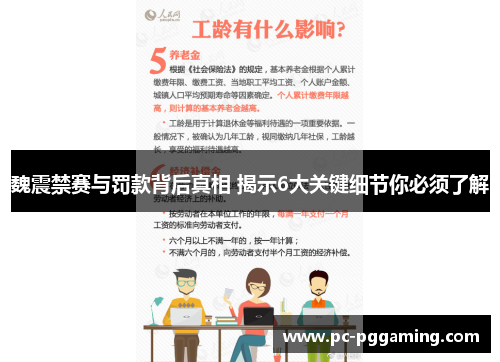 魏震禁赛与罚款背后真相 揭示6大关键细节你必须了解