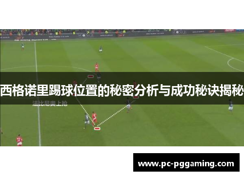 西格诺里踢球位置的秘密分析与成功秘诀揭秘
