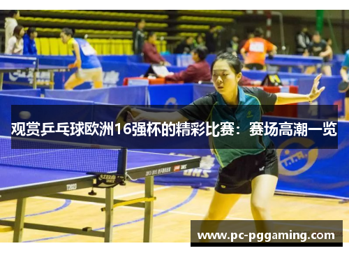 观赏乒乓球欧洲16强杯的精彩比赛：赛场高潮一览