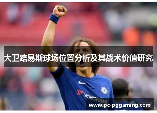 大卫路易斯球场位置分析及其战术价值研究 大卫路易斯球场位置分析及其战术价值研究