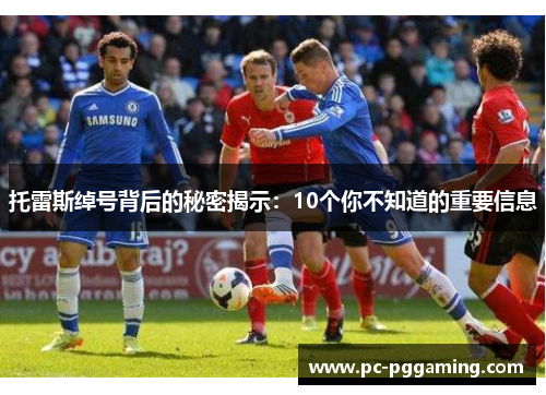托雷斯绰号背后的秘密揭示：10个你不知道的重要信息
