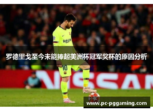 罗德里戈至今未能捧起美洲杯冠军奖杯的原因分析