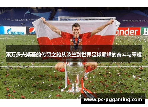 莱万多夫斯基的传奇之路从波兰到世界足球巅峰的奋斗与荣耀