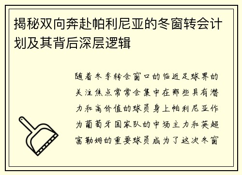 揭秘双向奔赴帕利尼亚的冬窗转会计划及其背后深层逻辑